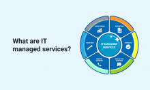 Khác biệt giữa Co-Managed và Managed IT Services 
