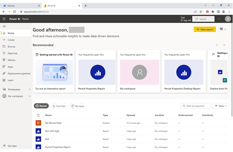 Power BI service portal 